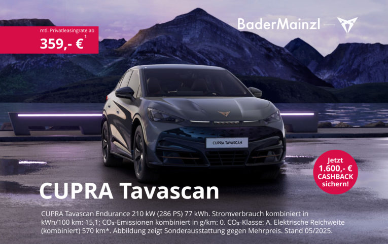 tavascan cupra