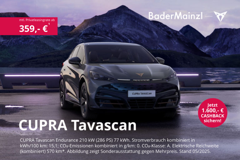 tavascan cupra