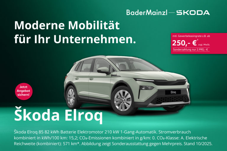 Skoda Elroq Gewerbe